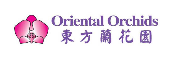 Oriental Orchids