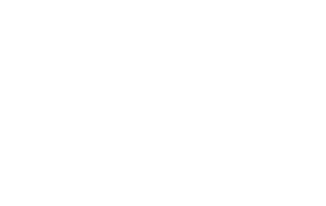 Festival of Trees