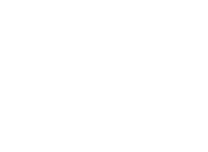 Festival of Trees