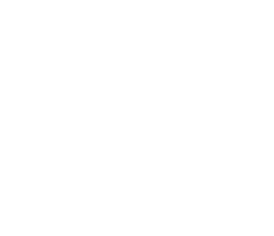 BCCH logo
