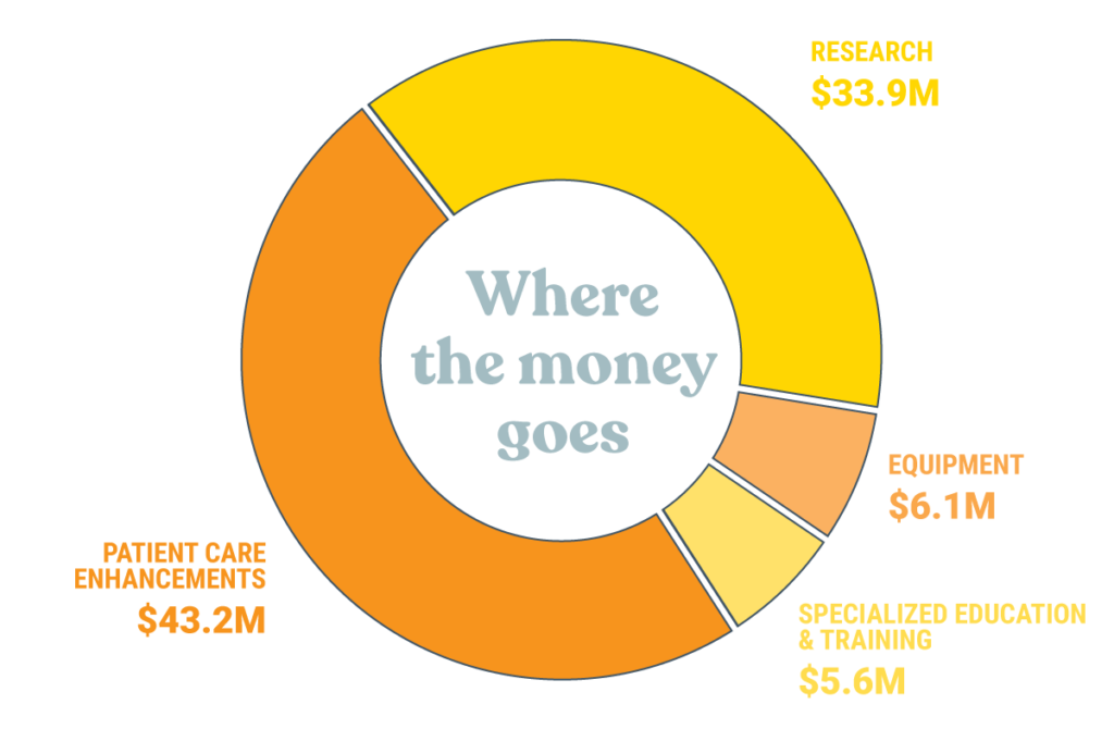 Pie chart showing where the money goes